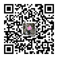 微信二維碼